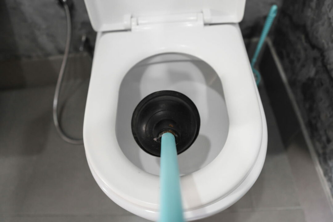 Toilette Toilette